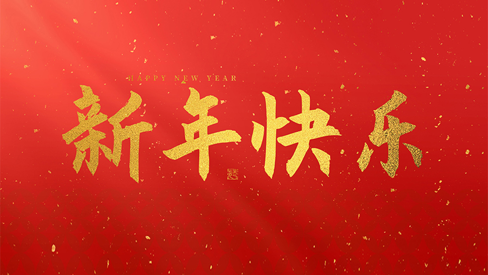 麗水市威儀自動(dòng)化技術(shù)有限公司祝全國(guó)人民2025新年快樂！
